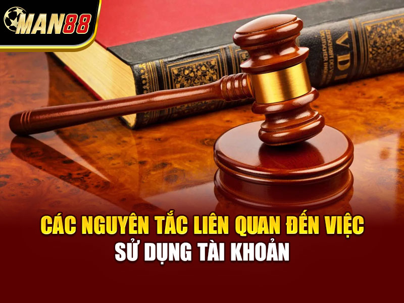 Các nguyên tắc liên quan đến việc sử dụng tài khoản