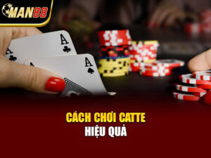 Catte Là Gì? Luật Chơi Và Cách Đánh Catte Hiệu Quả 2026