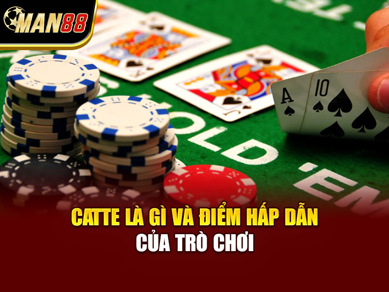 Catte Là Gì Và Điểm Hấp Dẫn Của Trò Chơi